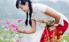 为什么快播播放不了